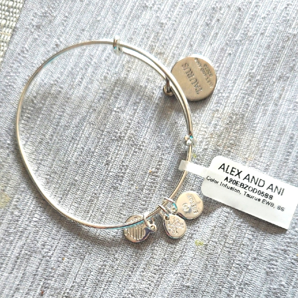 Alex and Ani Silver Charm Bangle Bracelet